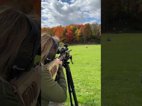 Ruger American Ranch Rifle Review | 5.56 NATO