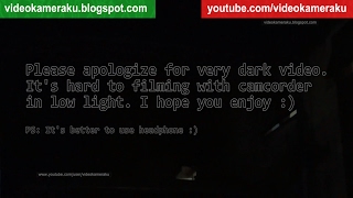 Rain Sound 3 Hours at Night - Live Recording February 19 2017