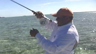 preview picture of video 'Andros Island Bonefish Club, Streams of Dreams Fly Shop'