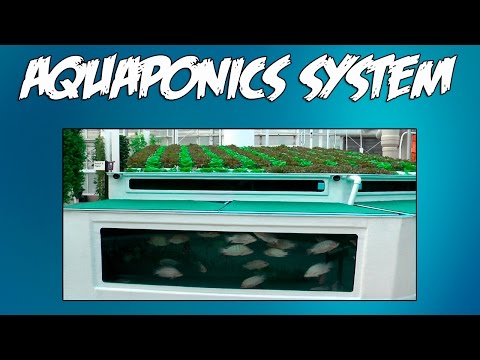 Materiały akwaponiczne