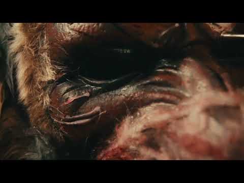 BETWEEN BODIES - WATER AS A METAPHOR / WAVES [OFFICIAL VIDEO]