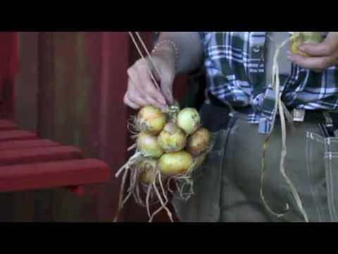 Smartaste sättet att fläta lök du odlat i trädgården! Britt-Marie visar!