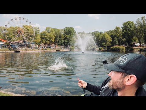 Harmloser PARKSEE: Uralte Fische leben hier völlig unbemerkt! 😳