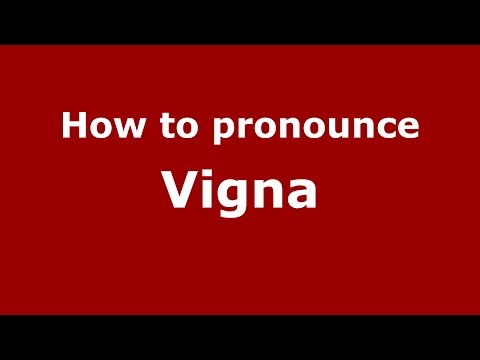 How to pronounce Vigna (Spanish/Argentina) - PronounceNames.com
