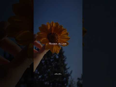 Masha Allah 🧕🏻🛐| Meherezylaa song | Maanaadu movie song whatsapp status |#trending #mashallah #yuvan