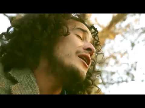 Angelo Escobar   Libélulas