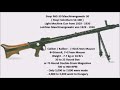 Steyr MG 30 Rare Machine Gun Of World War II