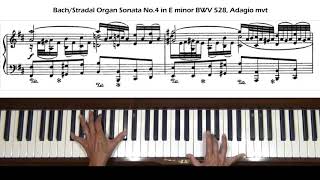 Bach / Stradal Organ Sonata No. 4 in E minor BWV 528 Adagio mvt Piano Tutorial
