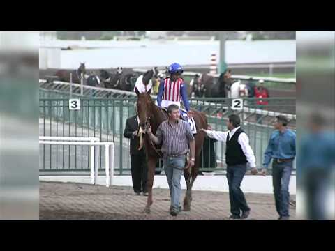 SA Derby Bump Chris MPEG 4