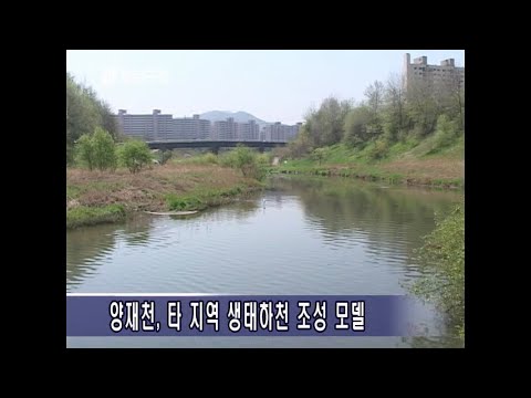 20060427 강남구청 뉴스