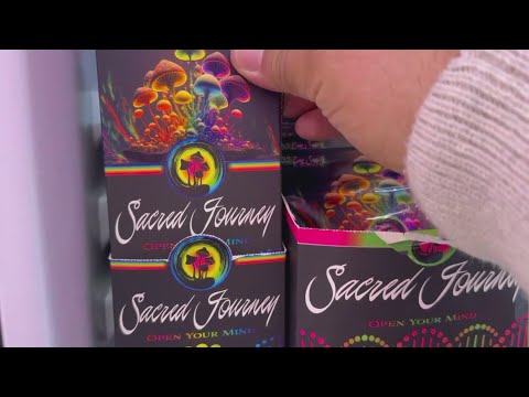 Mushroom candy bars soar but ingredients remain unknown