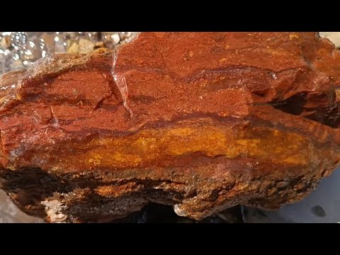 Beleza oculta: JÓIAS naturais do Rio grande do Sul!