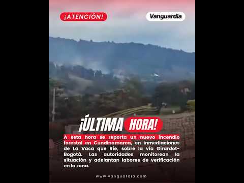 A esta hora se reporta un nuevo incendio forestal en Cundinamarca | Vanguardia