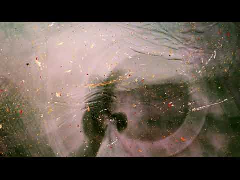 Calzedon Guy: Nothing (Sapienta Remix)