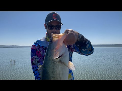 This is WHY I LOVE Bass Fishing !!! South Africa, Albert Falls.