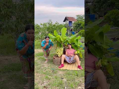 ทางสะดวกเจ้าของกล้วยนอนหลับพอดี The banana plantation owner had a convenient place to sleep. #funny