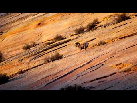 Armin van Buuren feat. Winter Kills - Take A Moment (Shogun Remix)