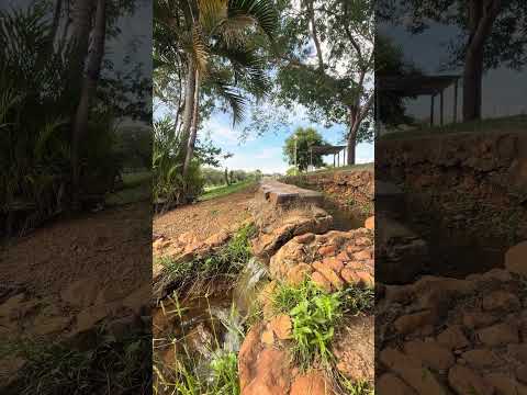 Bica d’água #morrinhos #goias #short
