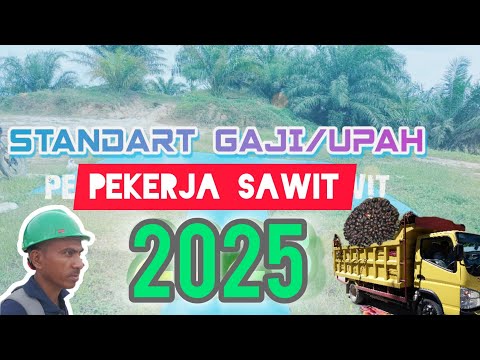 Gaji terbaru pekerja sawit kalimantan 2025