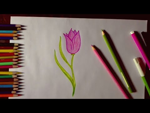How to draw a tulip flower for kids | easy and fast tutorial