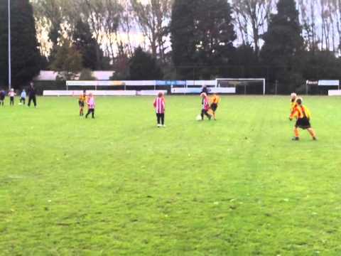 Rozenburg F1-Hekelingen F1