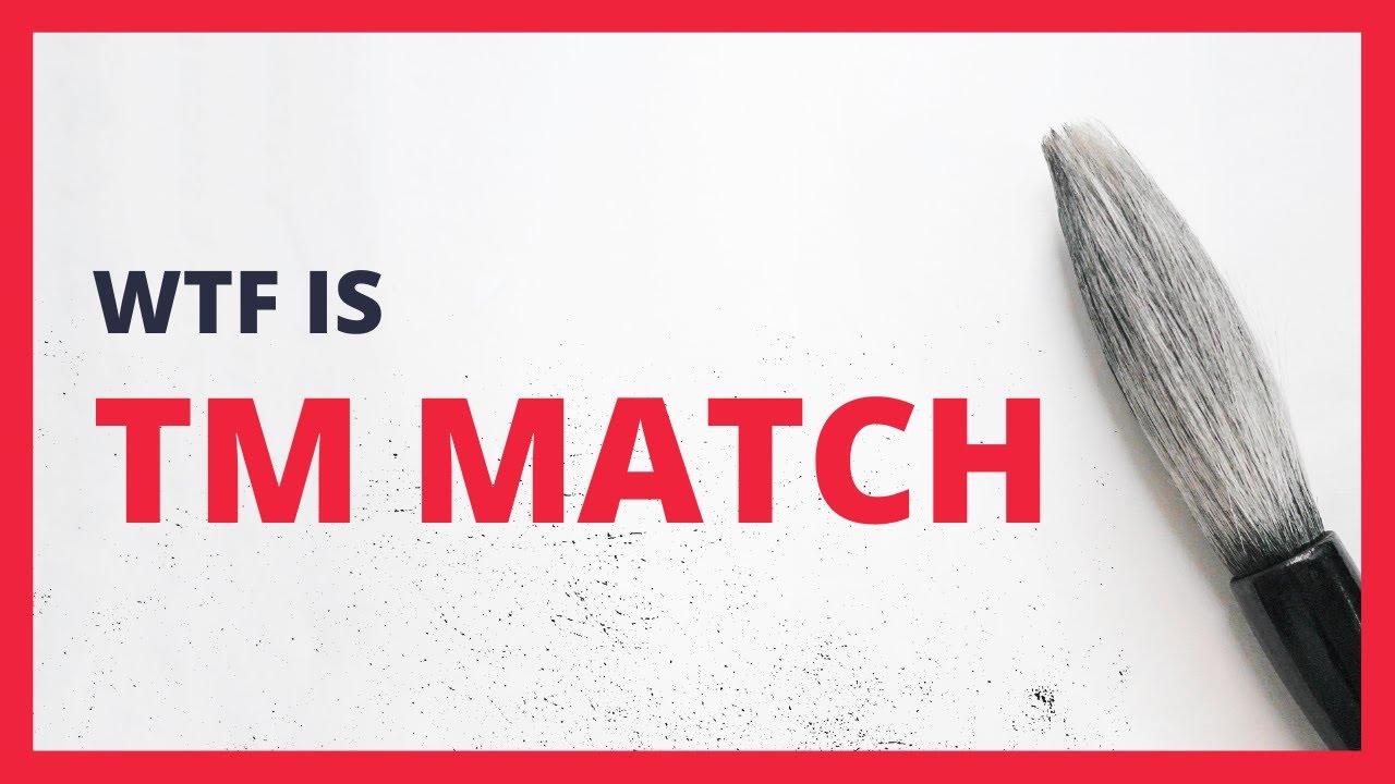 ✔️ What Is TM Match | Localization Basics