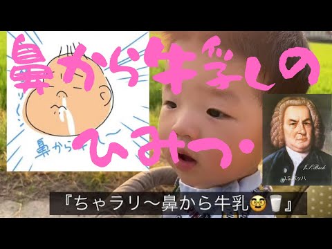 こども学科 【名曲紹介】鼻から牛乳の秘密😁バッハの代表曲2曲『トッカータとフーガ ニ短調』と『フーガ ト短調』