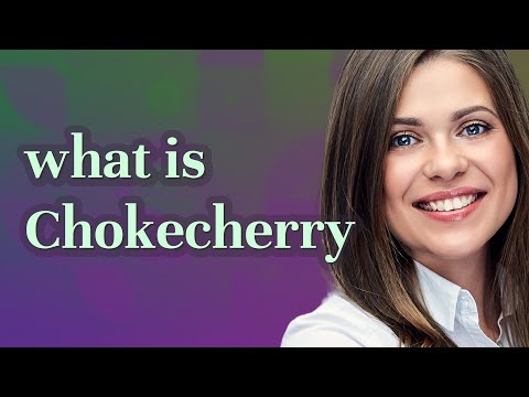 Chokecherry | meaning of Chokecherry