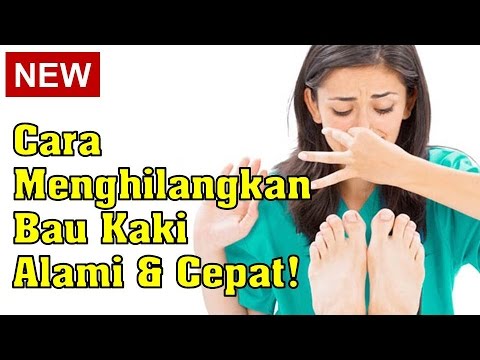 Kursus pelangsing download gratis melalui torrent Makan sampai 1000 kalori tidak kehilangan berat badan