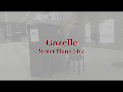 Gazelle Street piano live