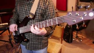 Mike Stern - Tipatina`s //// bass cover by Dan Saghin