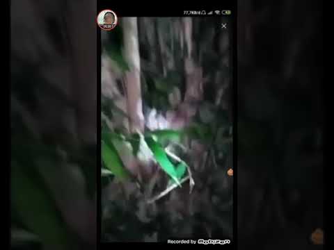 100+ Gambar Pocong Muka Ancur Kekinian 100+ Gambar Pocong Muka Ancur Kekinian