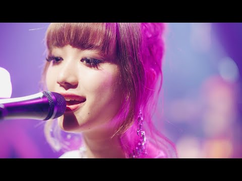 ブランデー戦記 - 赤いワインに涙が・・・(from BRANDY SENKI 1st ALBUM RELEASE TOUR FINAL at Zepp Shinjuku)