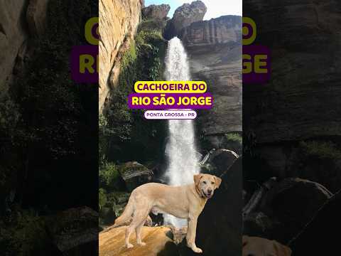 😱ÚNICA cachoeira que aceita cachorros em Ponta Grossa #cachoeiradoriosaojorge