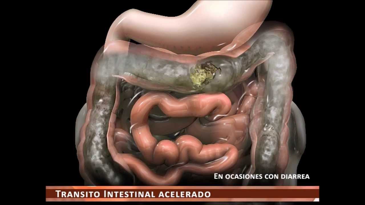 José Luis Rodríguez Chávez-4