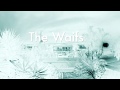 The Waifs -  The Waitress
