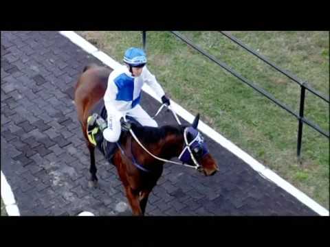 27/05/2016 - Race 8 - Siracusa Sweepstakes (BM60) - Mazurka