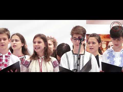 Sarba in caruta - corul mare LTSTI