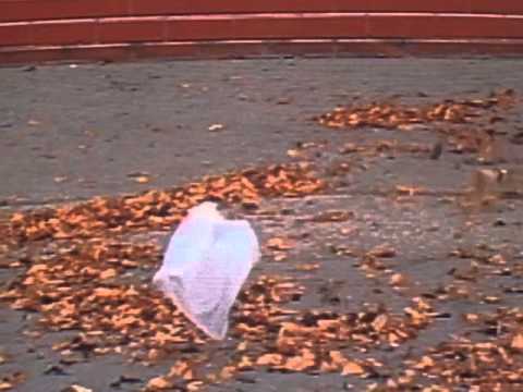 'American Beauty' - Thomas Newman (from the 'plastic bag scene')