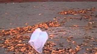 'American Beauty' - Thomas Newman (from the 'plastic bag scene')