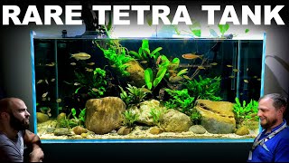 The Rare Tetra Tank: Building Fish Shop Matt&#39;s Home Aquarium (Aquascape Tutorial)