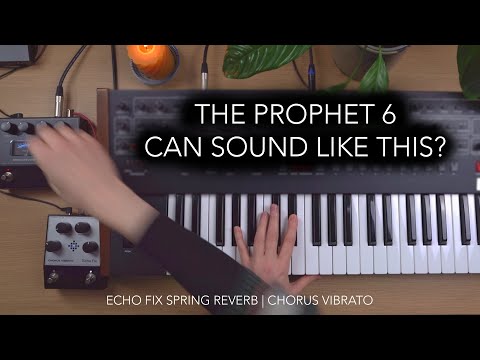 This synth loves these pedals: Echo Fix Spring Reverb & Chorus Vibrato | Prophet 6