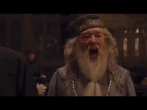 Harry Potter Characters Saying Silence