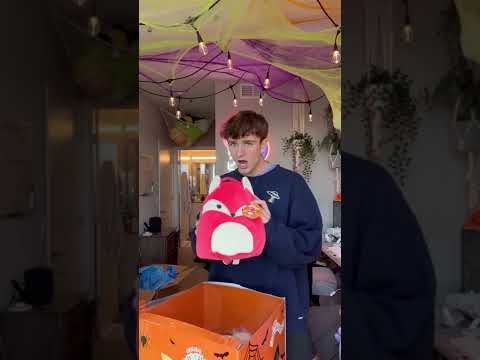 A PACKAGE FROM SQUISHMALLOWS?🥸 w Carter Kench #shorts