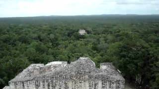 preview picture of video 'Calakmul, cima struttura2 - Mexico.'
