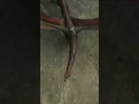 Every Dragon in House of the dragon #shorts  #houseofthedragon #vermax #caraxes  #syrax #vhagar