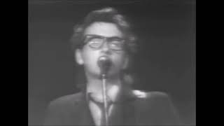 ELVIS COSTELLO Live at Capitol Theatre      You Belong To me