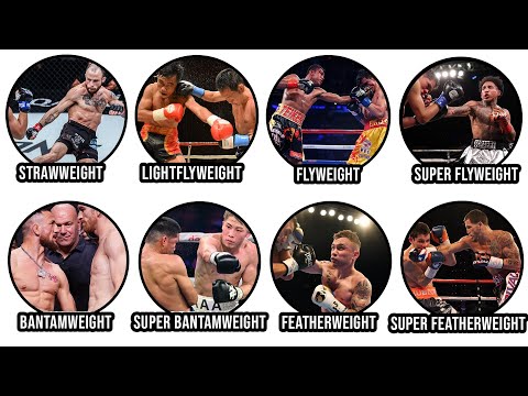 Every WEIGHT CLASS In Boxing & MMA Explained
