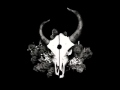 Demon Hunter - Beauty Through The Eyes Of A ...