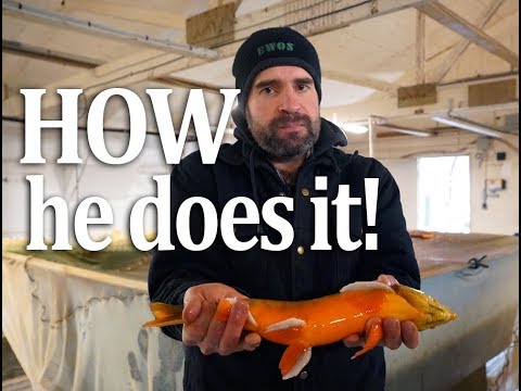 download lagu mp3 mp4 Farm Raised Arctic Char, download lagu Farm Raised Arctic Char gratis, unduh video klip Farm Raised Arctic Char